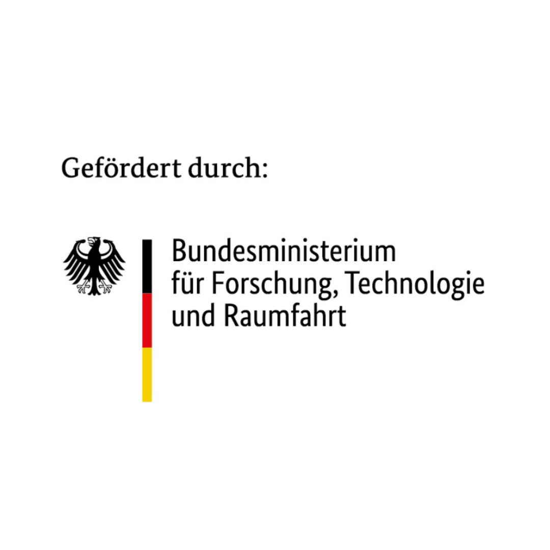Die Biene Maja - "Erste Zahlen & Buchstaben mit Willi"