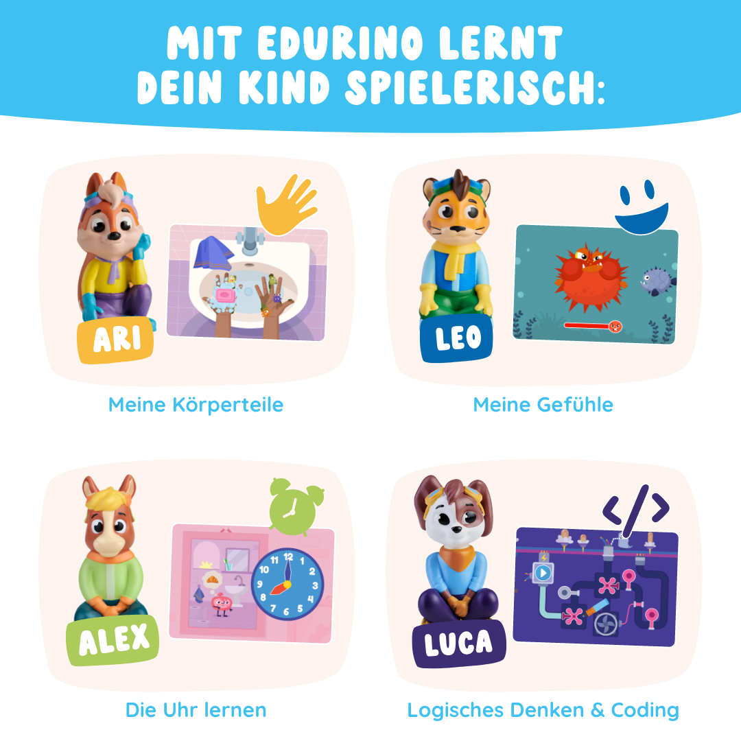 Lernreise XL Einsteiger